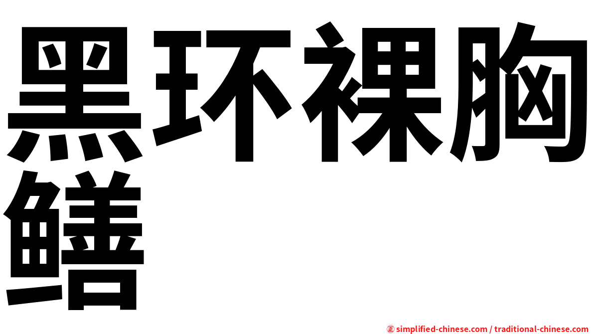 黑环裸胸鳝