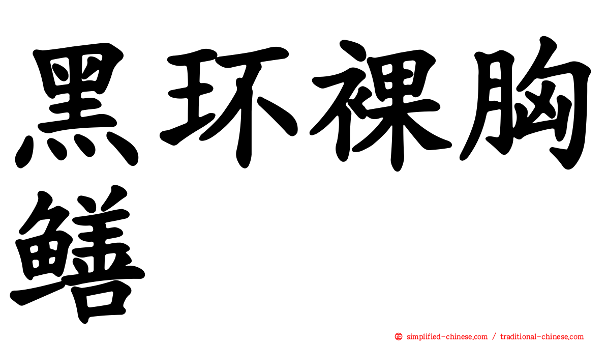 黑环裸胸鳝