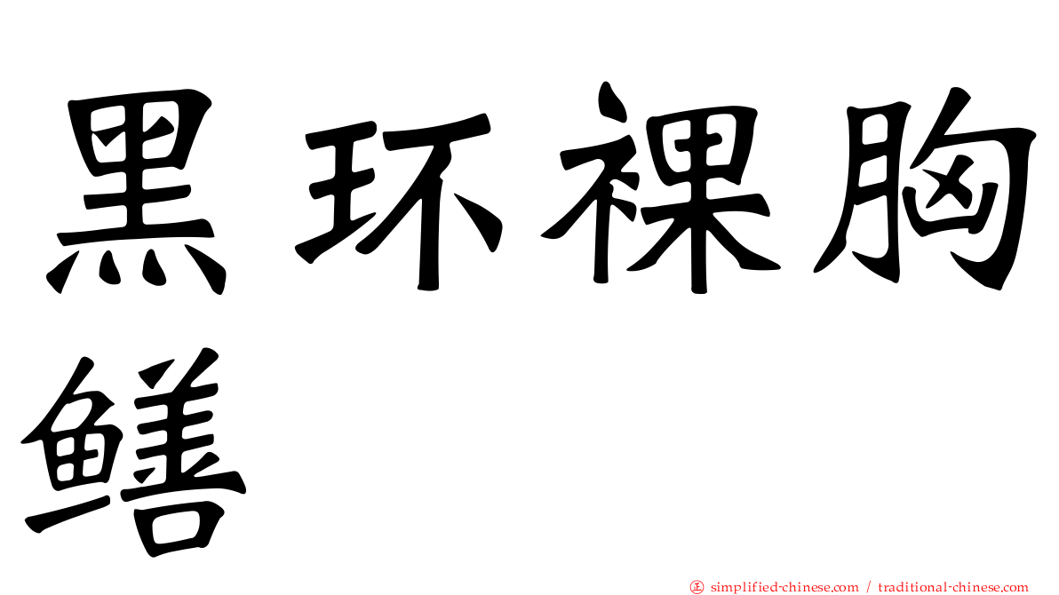 黑环裸胸鳝