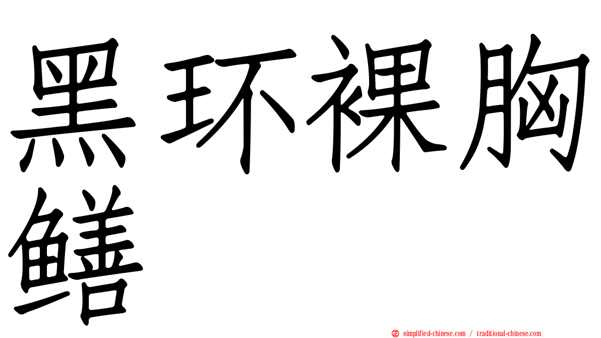 黑环裸胸鳝