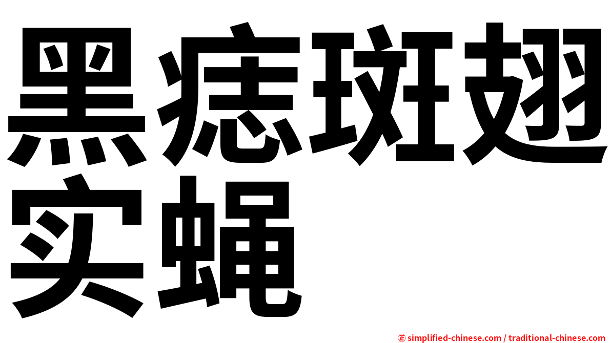 黑痣斑翅实蝇