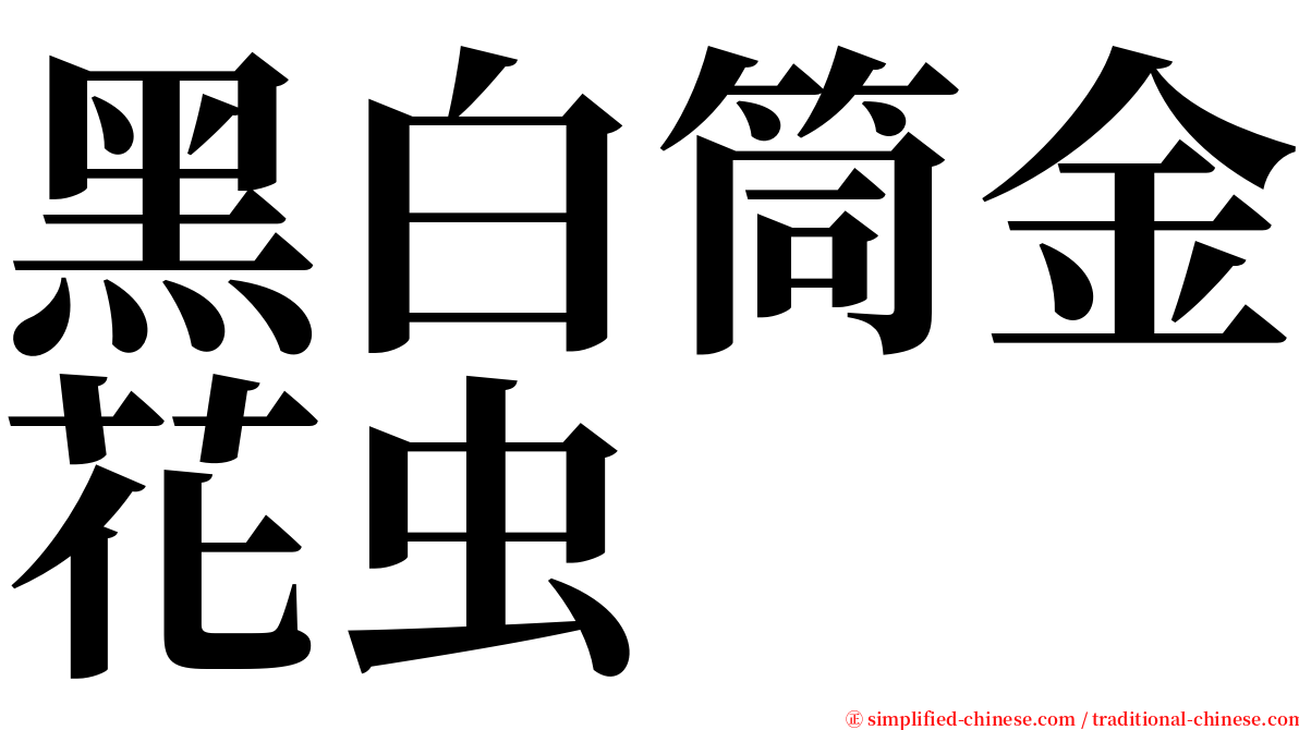 黑白筒金花虫 serif font