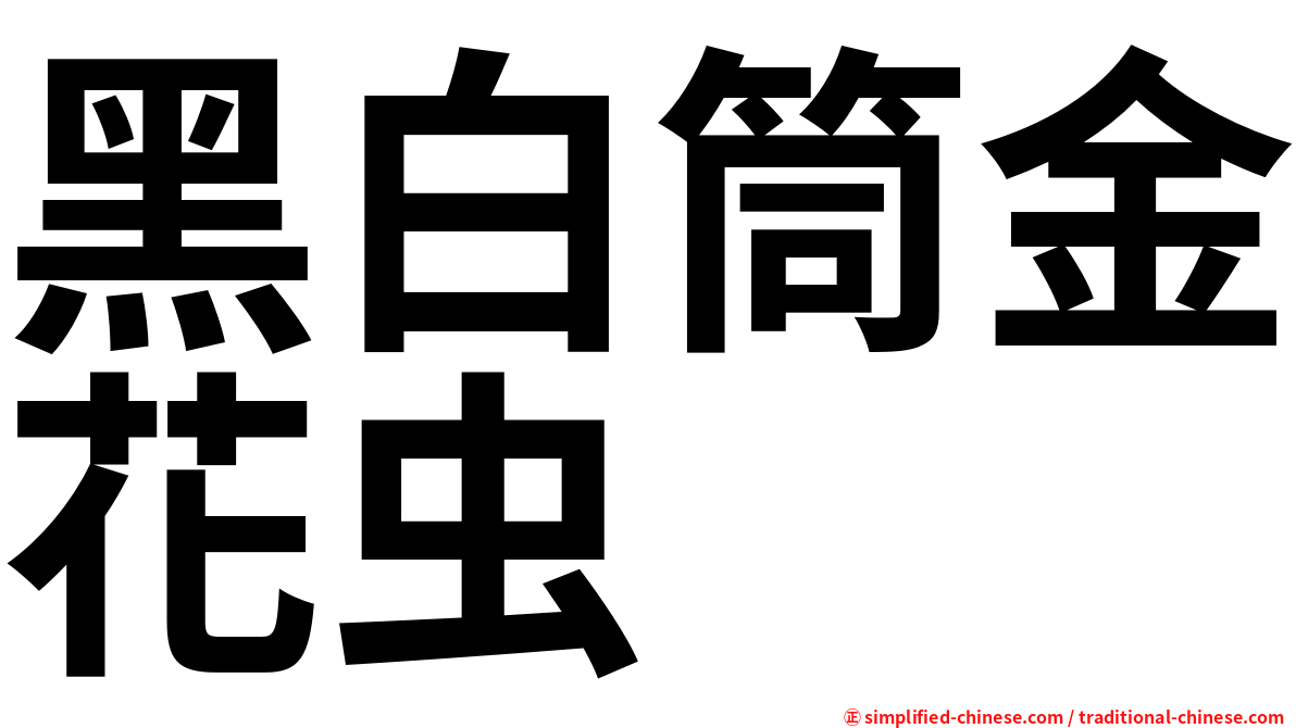 黑白筒金花虫
