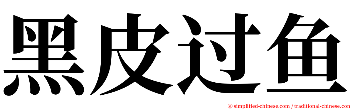 黑皮过鱼 serif font