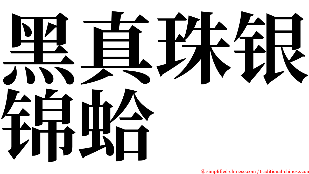 黑真珠银锦蛤 serif font