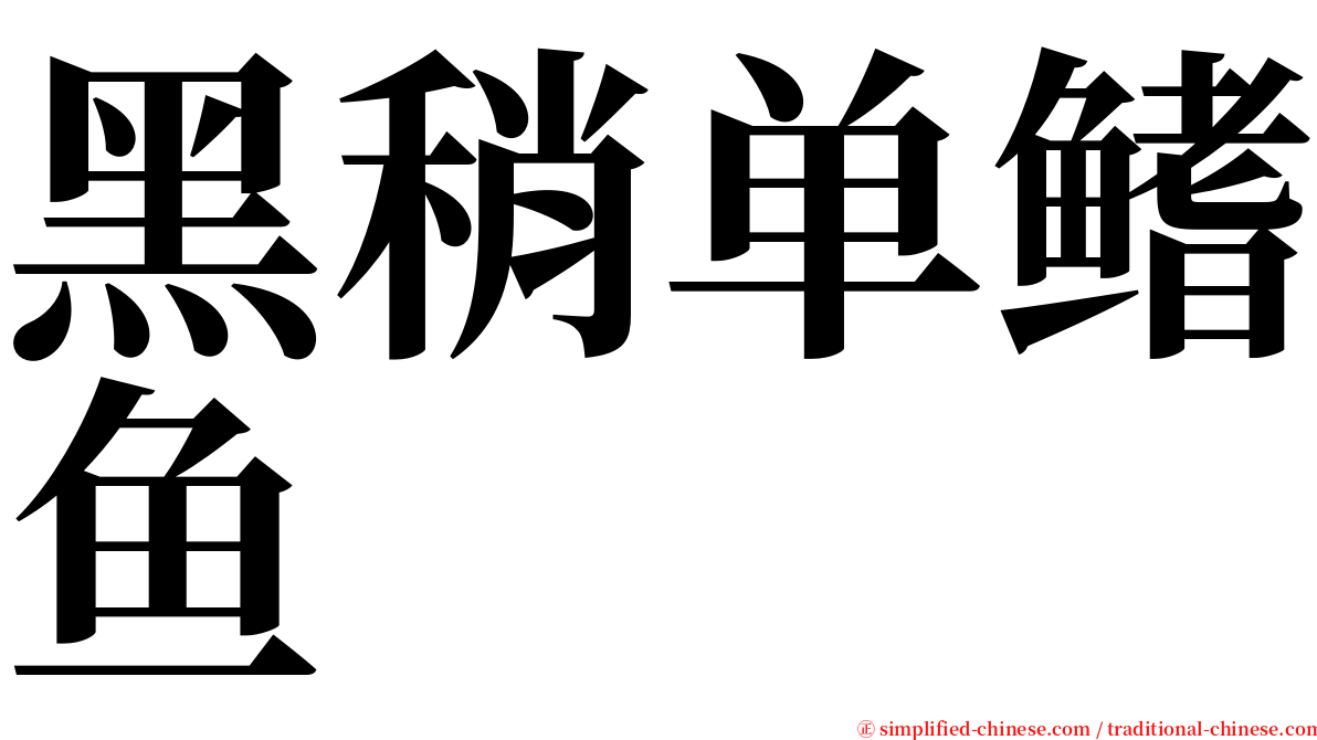 黑稍单鳍鱼 serif font