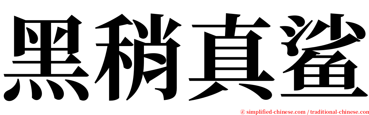 黑稍真鲨 serif font