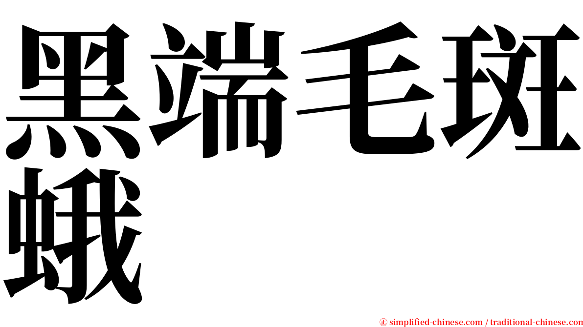 黑端毛斑蛾 serif font