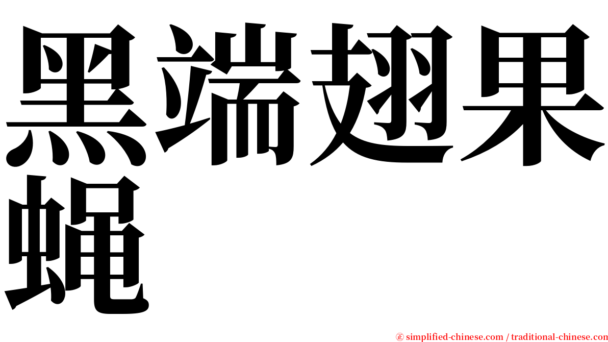 黑端翅果蝇 serif font