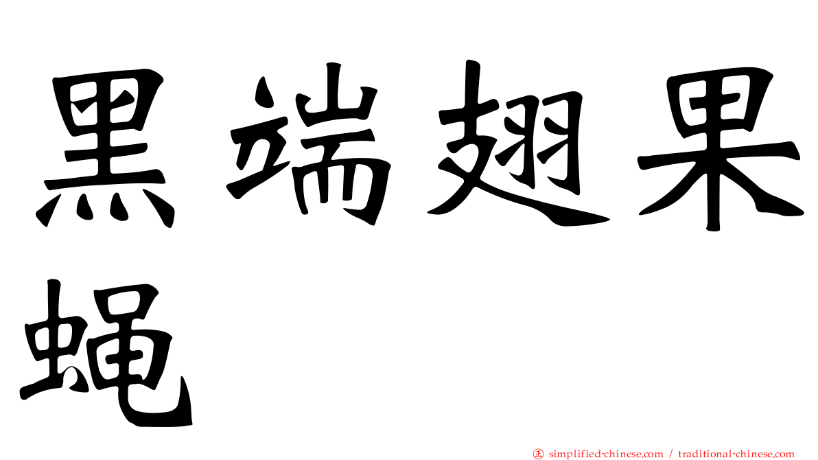 黑端翅果蝇
