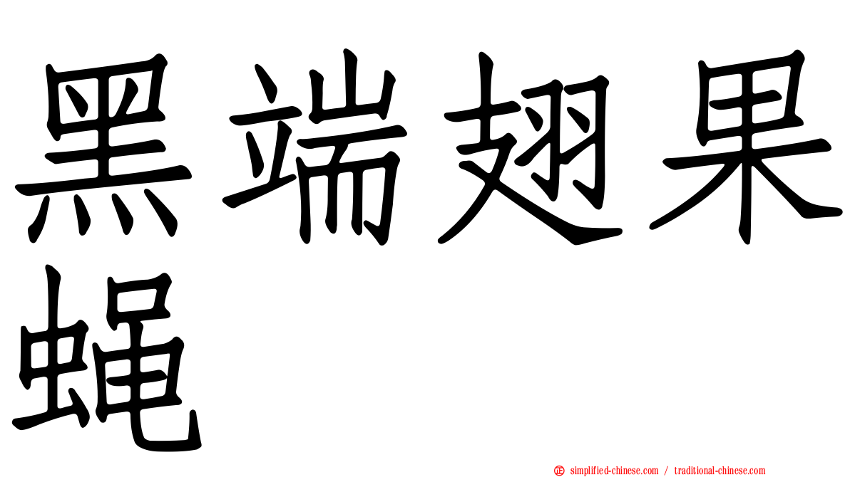 黑端翅果蝇