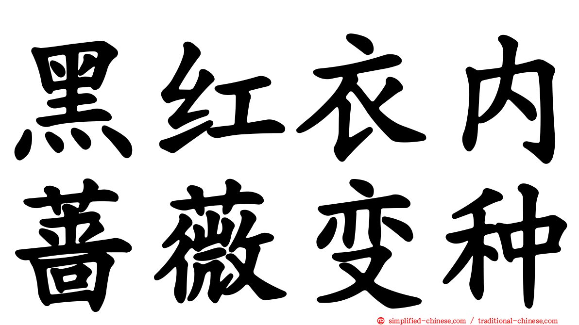 黑红衣内蔷薇变种