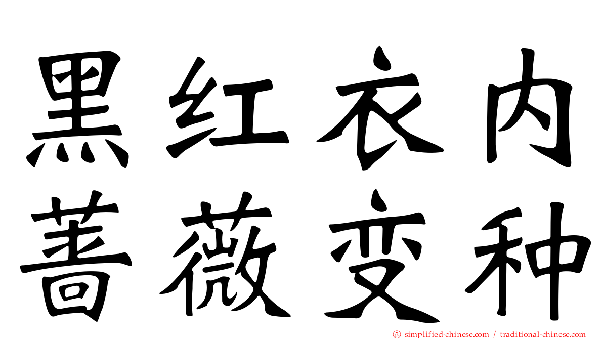 黑红衣内蔷薇变种