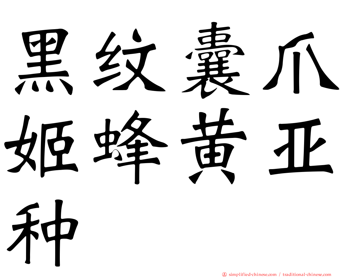 黑纹囊爪姬蜂黄亚种