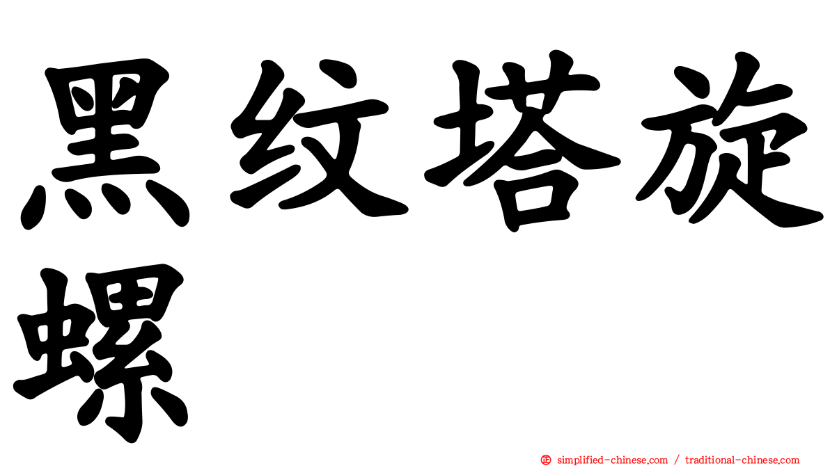 黑纹塔旋螺
