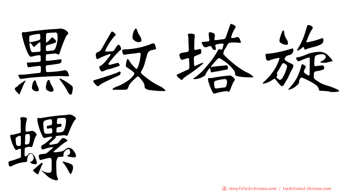 黑纹塔旋螺