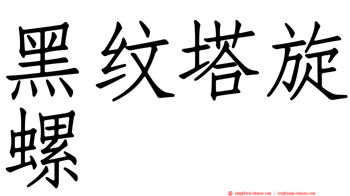 黑纹塔旋螺