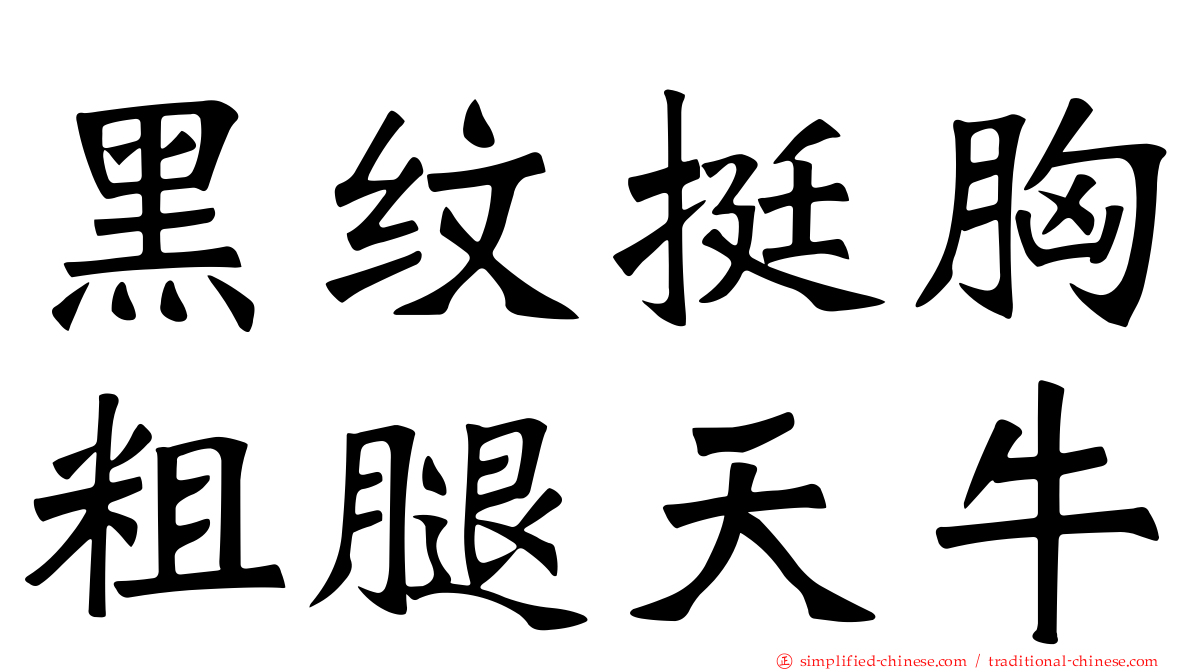 黑纹挺胸粗腿天牛