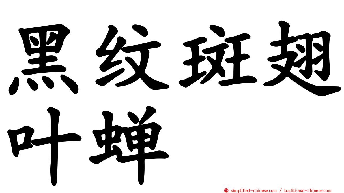 黑纹斑翅叶蝉