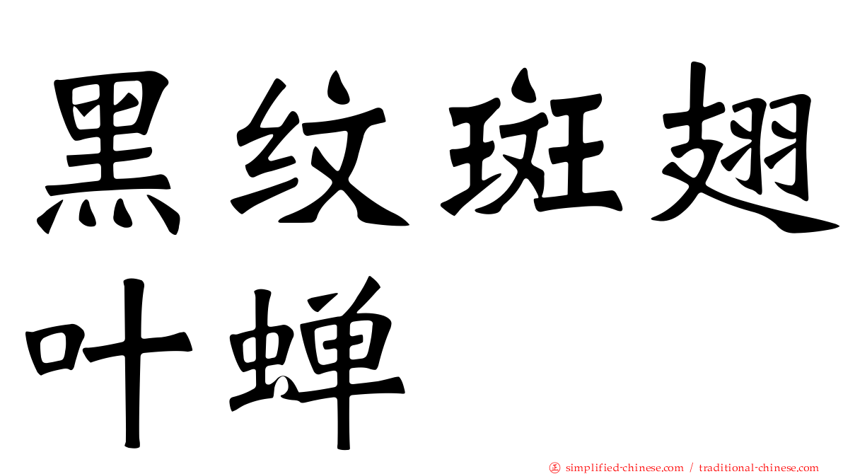 黑纹斑翅叶蝉