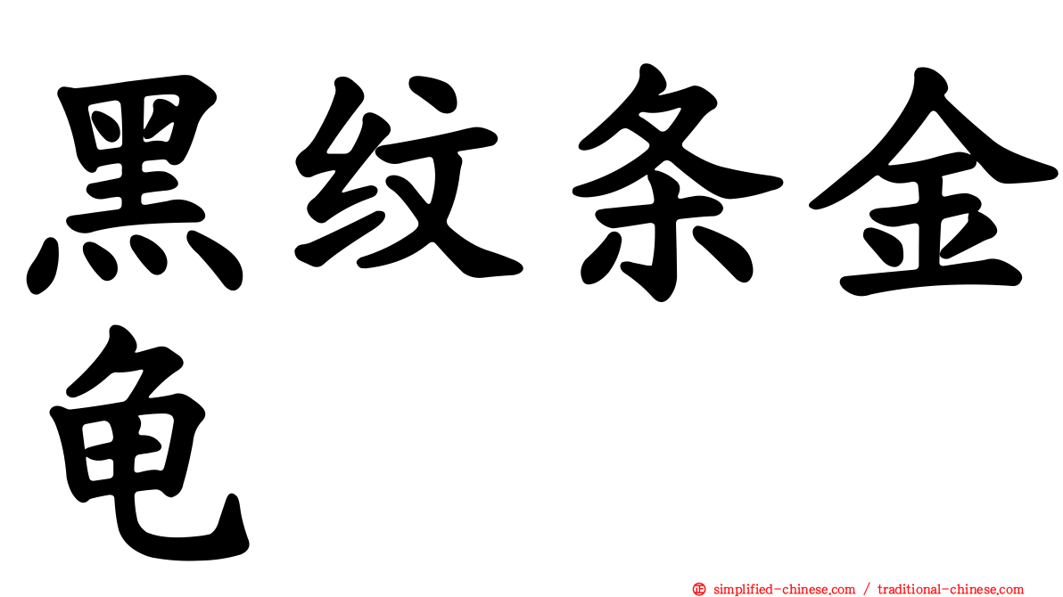 黑纹条金龟