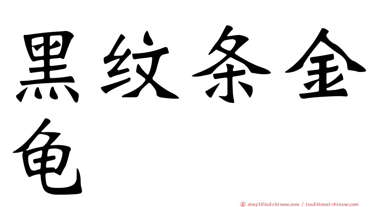 黑纹条金龟