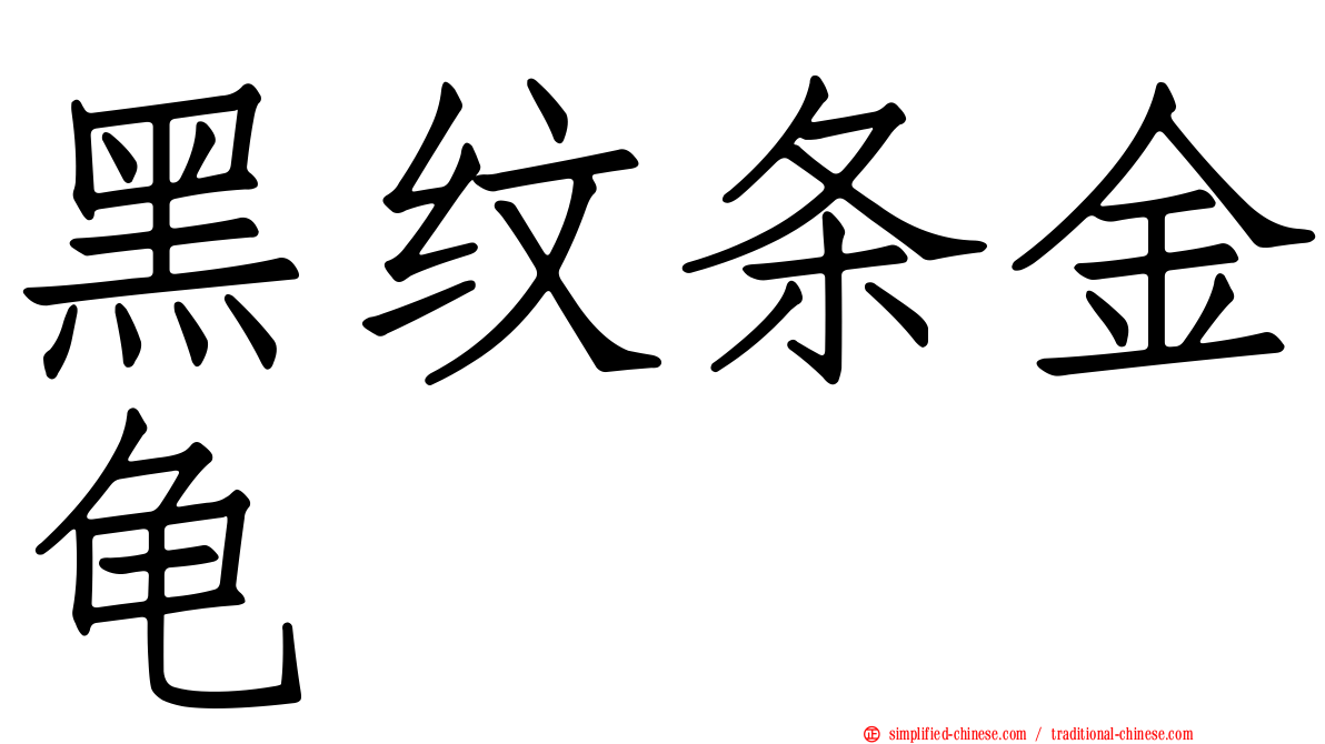 黑纹条金龟
