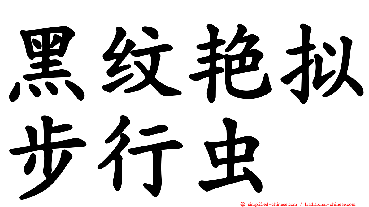 黑纹艳拟步行虫