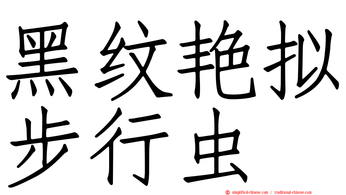 黑纹艳拟步行虫