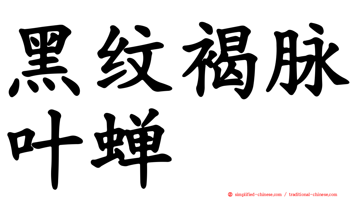 黑纹褐脉叶蝉