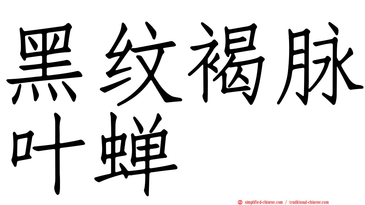 黑纹褐脉叶蝉