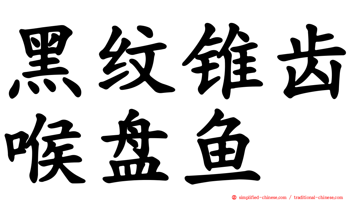 黑纹锥齿喉盘鱼