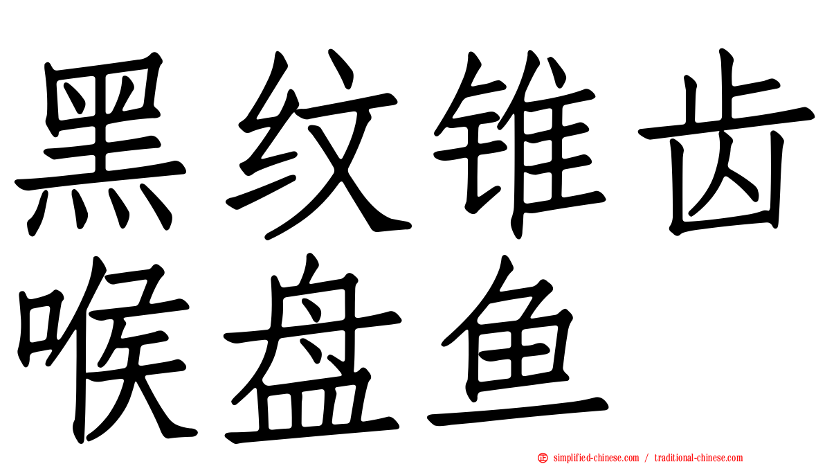黑纹锥齿喉盘鱼