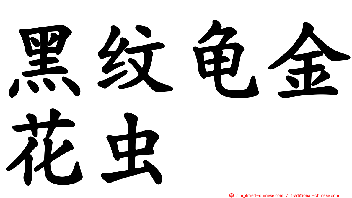 黑纹龟金花虫