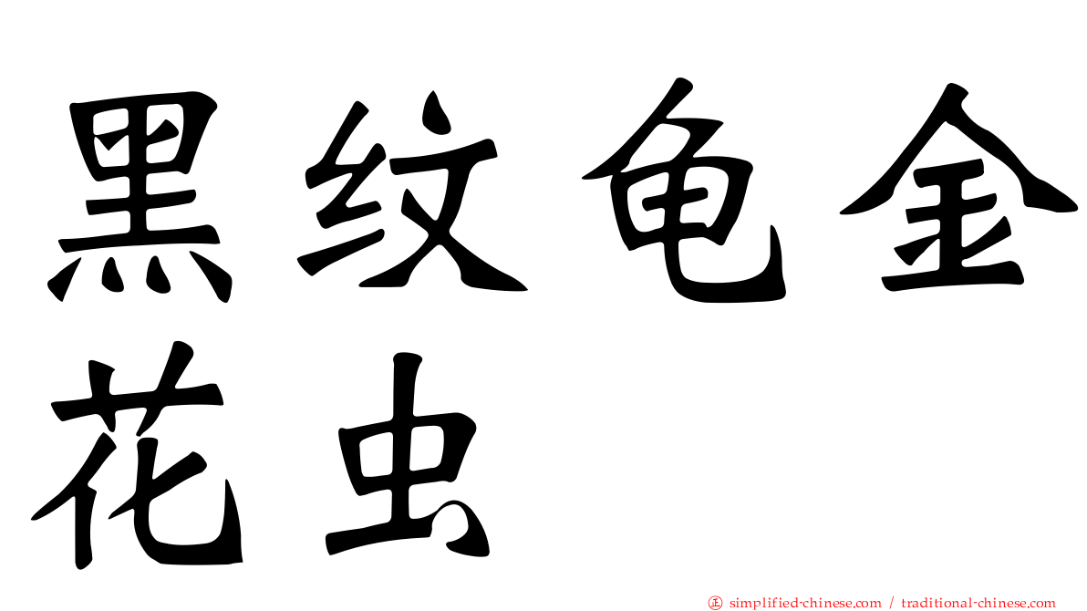 黑纹龟金花虫
