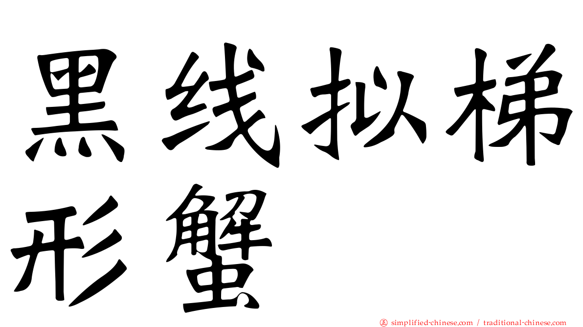 黑线拟梯形蟹