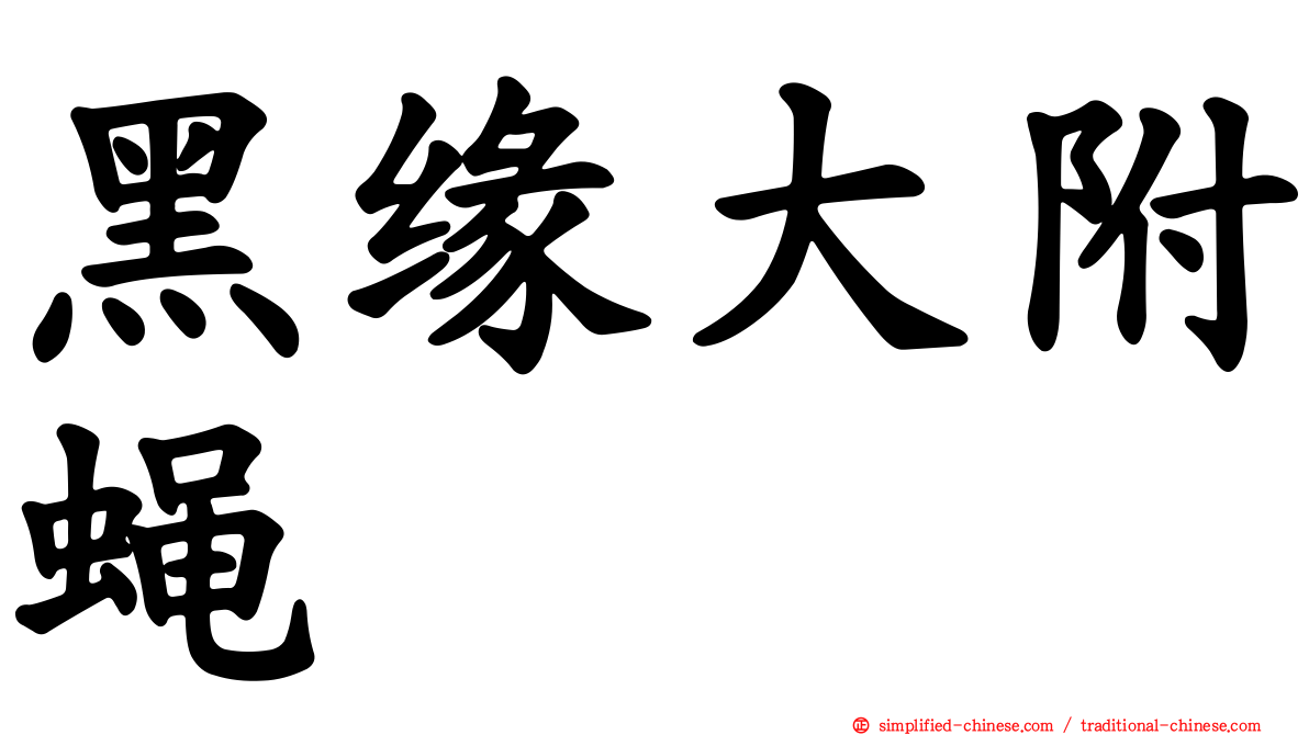 黑缘大附蝇