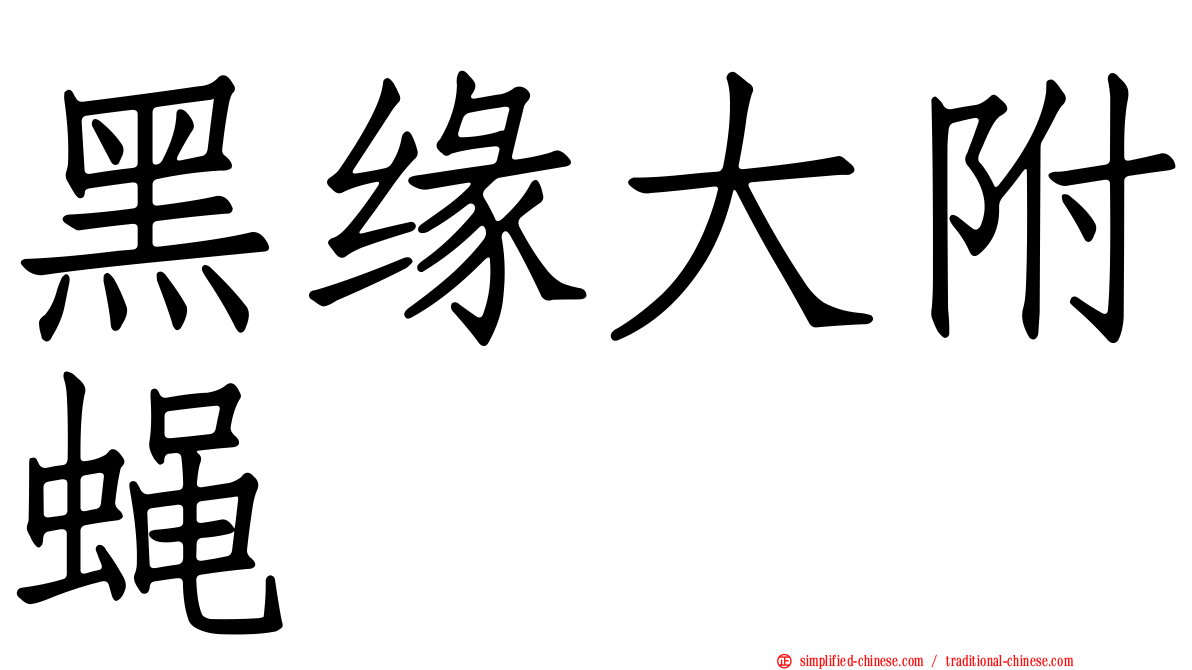 黑缘大附蝇