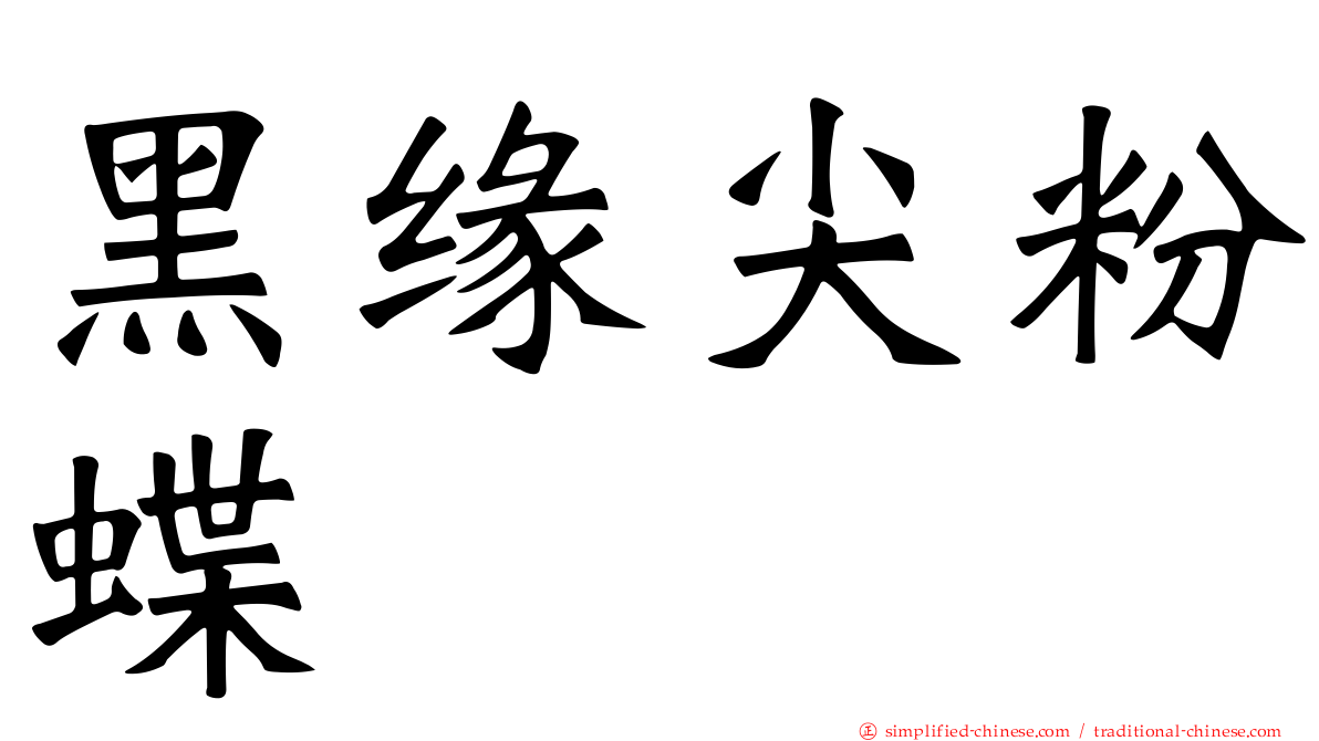 黑缘尖粉蝶