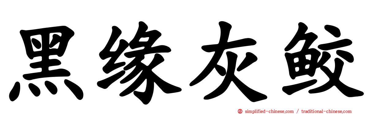 黑缘灰鲛