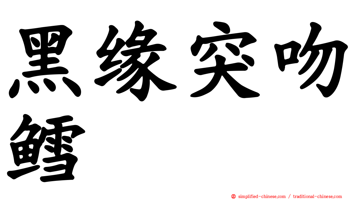 黑缘突吻鳕