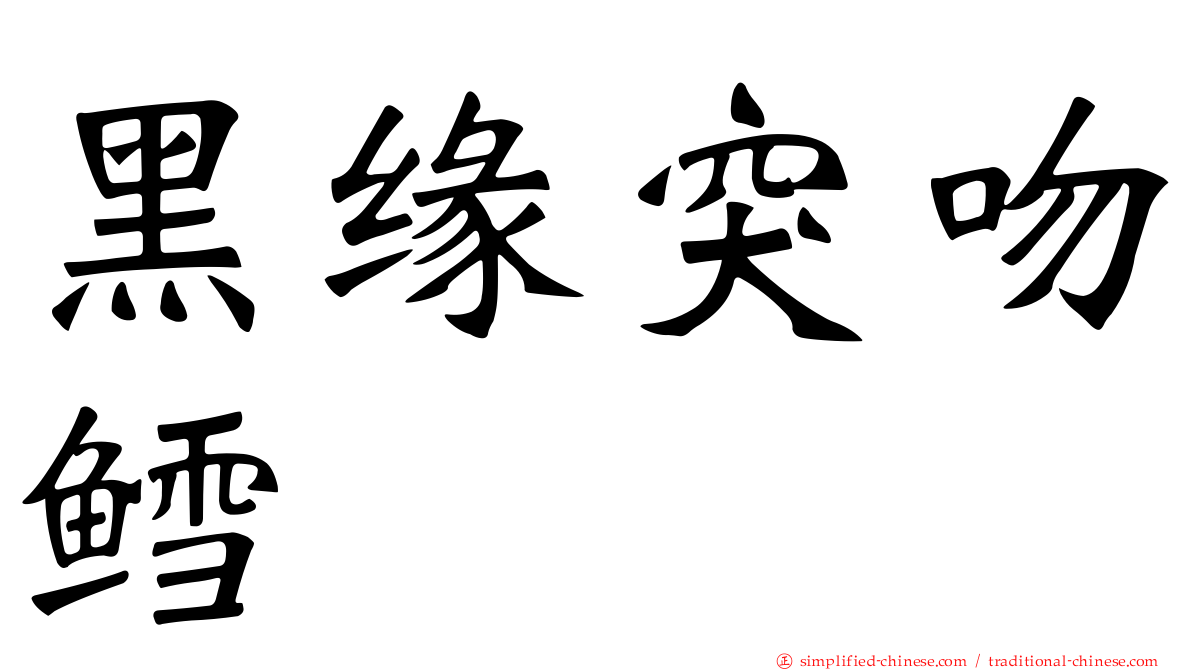 黑缘突吻鳕