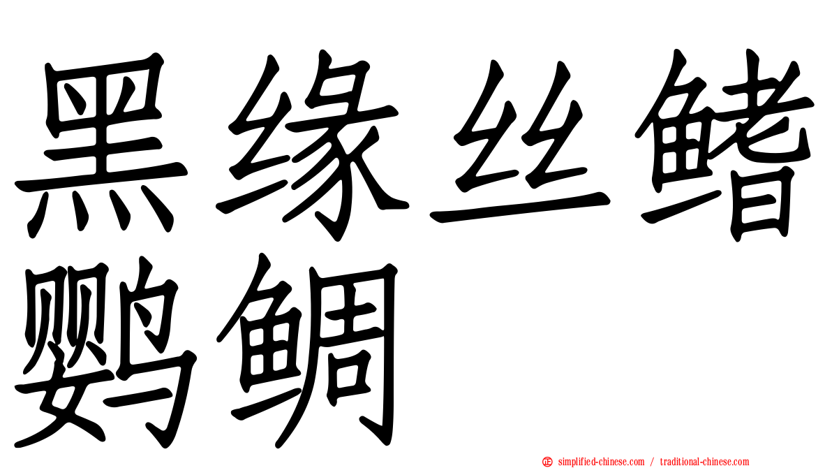 黑缘丝鳍鹦鲷