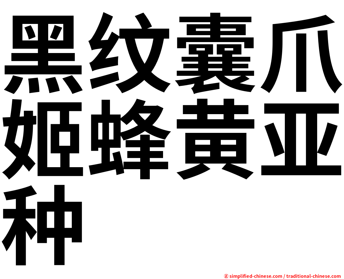 黑纹囊爪姬蜂黄亚种