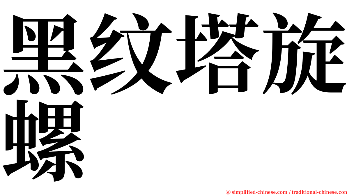 黑纹塔旋螺 serif font
