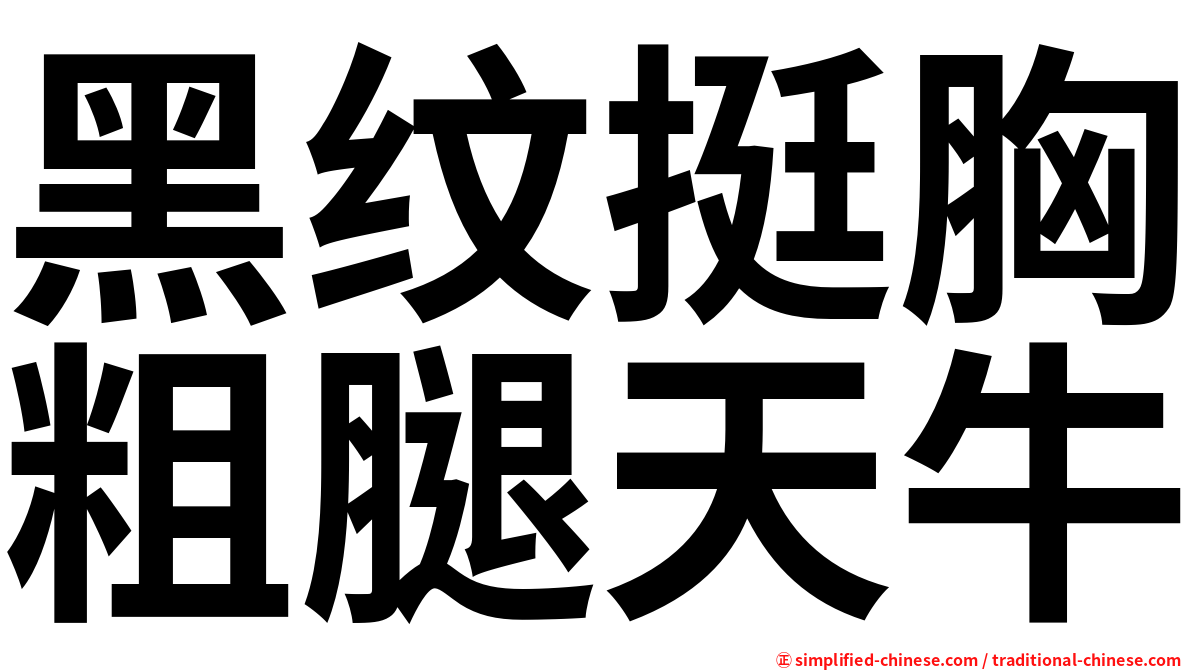 黑纹挺胸粗腿天牛