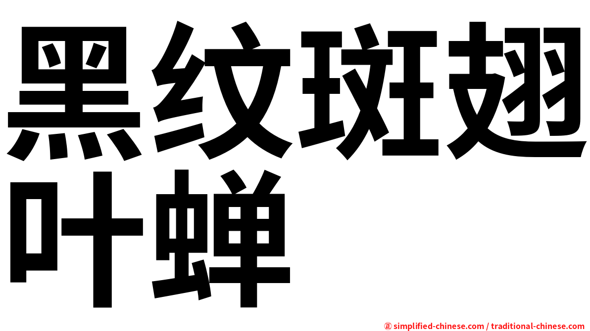 黑纹斑翅叶蝉