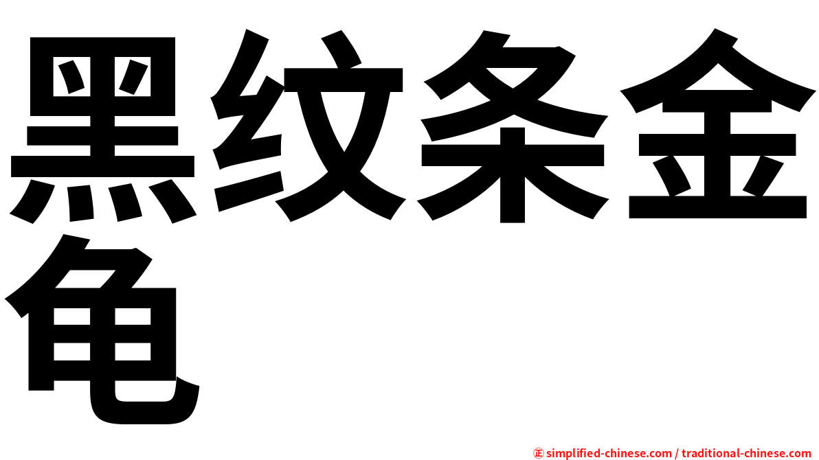 黑纹条金龟