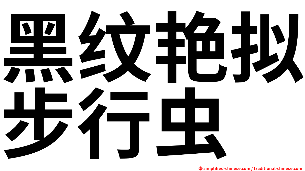 黑纹艳拟步行虫