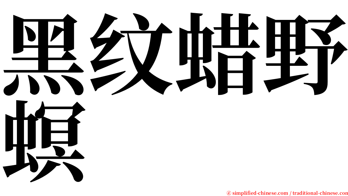 黑纹蜡野螟 serif font